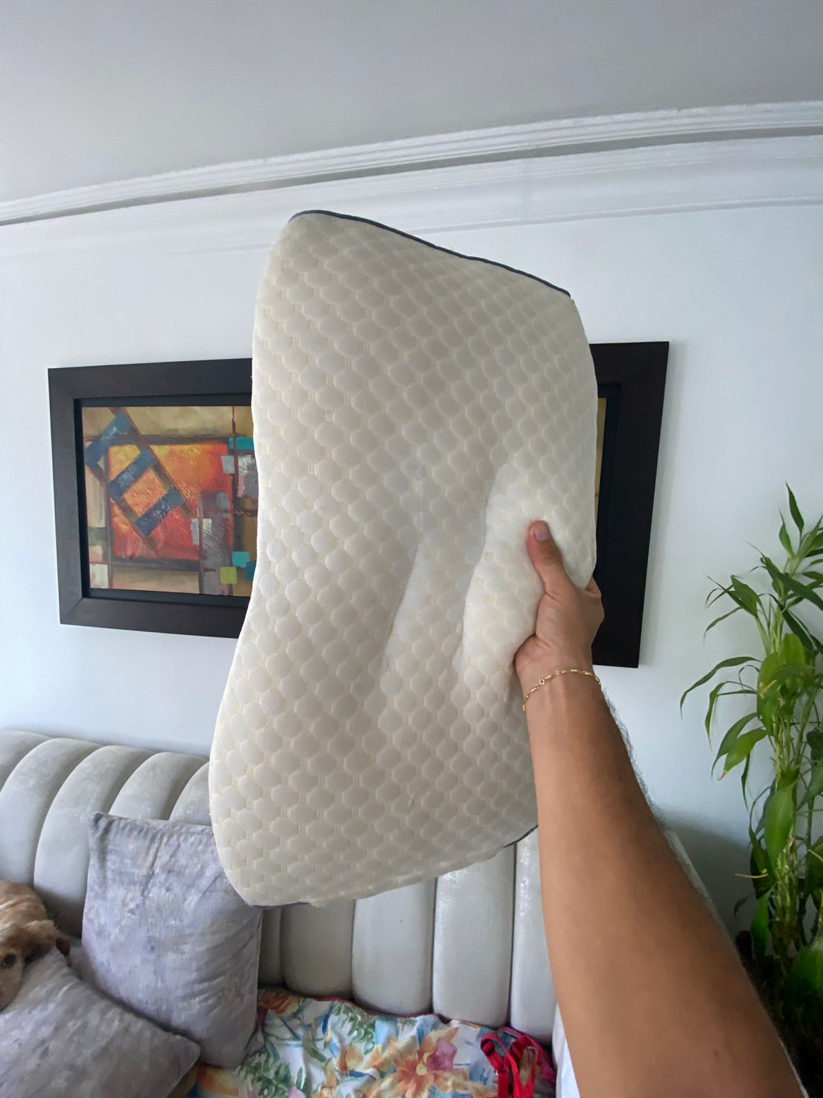 Almohada Ortopédica Premium