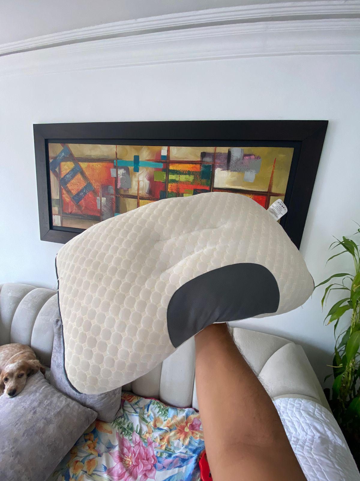 Almohada Ortopédica Premium